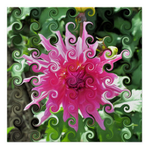 POSTER DAHLIA FLOWER