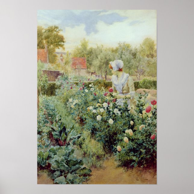 Poster Dahlias, 1896 (Devant)