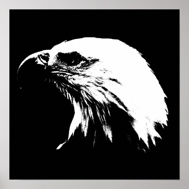 Poster d'aigle (Devant)