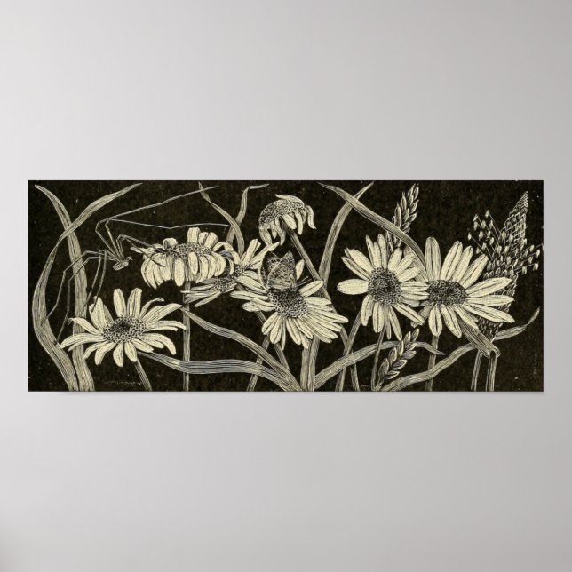 Poster Daisy (Devant)