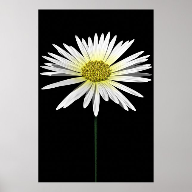 Poster Daisy (Devant)