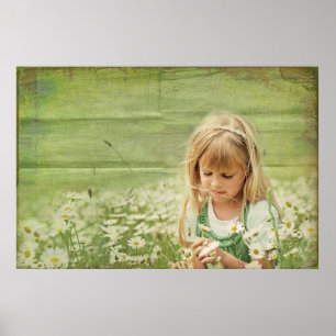 Poster Daisy Daydream