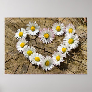 Poster Daisy Heart