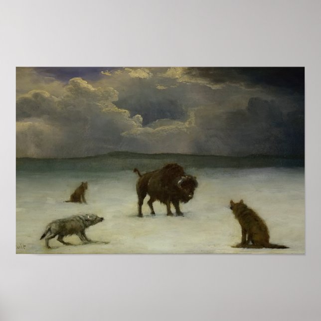 Poster Dakota (Devant)