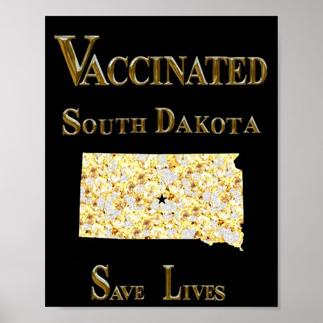 POSTER DAKOTA SUD (Devant)