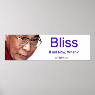 Poster Dalai Lama - éclaircissement