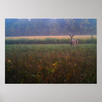 Poster d'Alert Doe