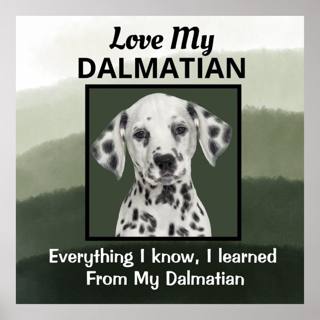 Poster Dalmatie (Devant)