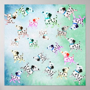 Poster Dalmatien