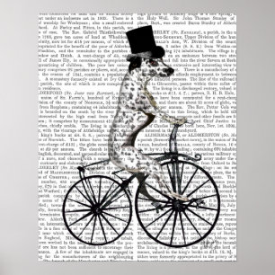 Poster Dalmatien à vélo