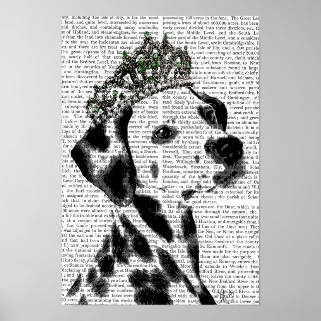 Poster Dalmatien avec Tiara (Devant)