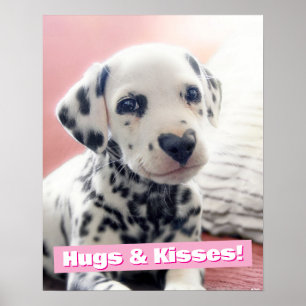 Poster Dalmatien Nez de Coeur