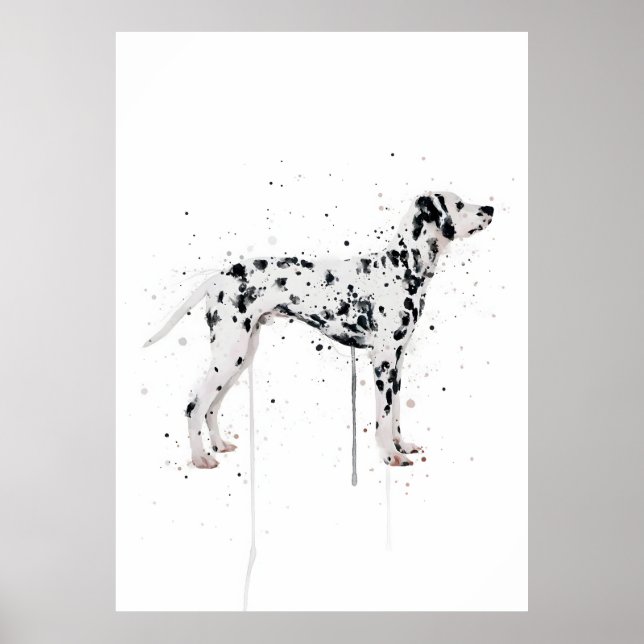 Poster  Dalmation Dog (Devant)