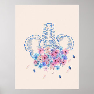 Poster d'anatomie florale du bassin médical