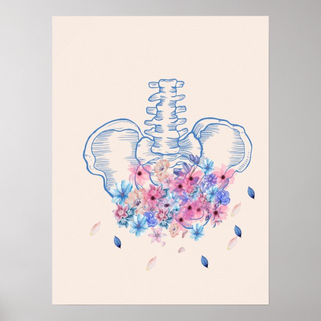 Poster d'anatomie florale du bassin médical (Devant)