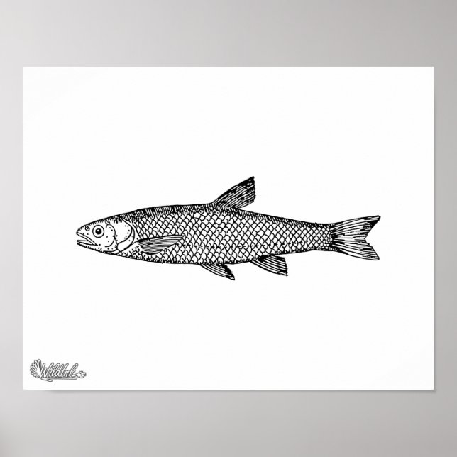 Poster Dance (Devant)