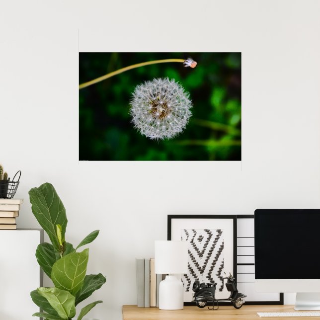 Poster Dandelion, (Bureau à domicile)