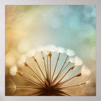 Poster Dandelion Dreams III