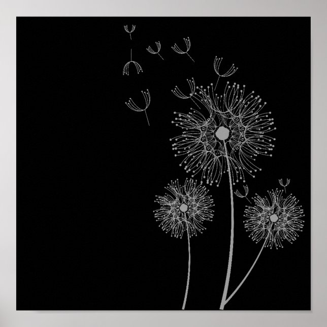 Poster Dandelion fleur noir et blanc art (Devant)