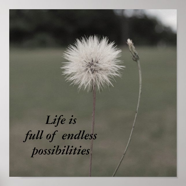 Poster Dandelion Inspirationnel - Personnalisé... - Custo (Devant)