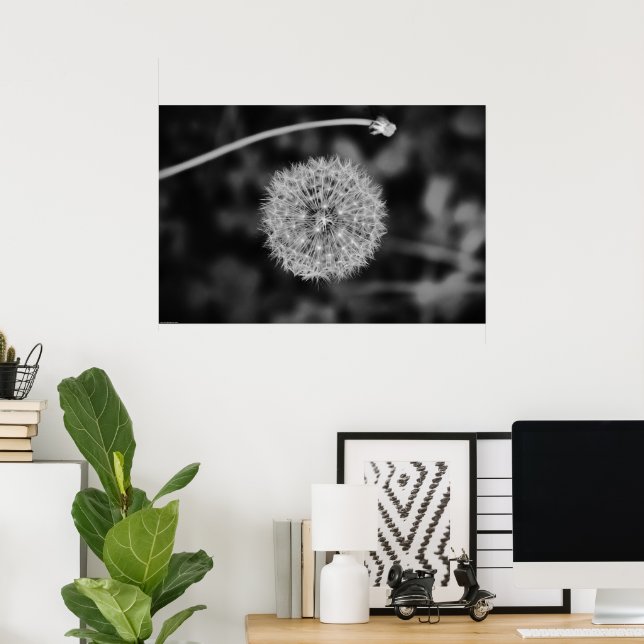 Poster Dandelion - Noir, (Bureau à domicile)