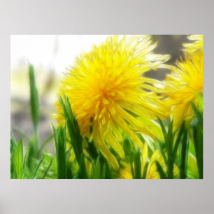 Poster Dandelion Portrait