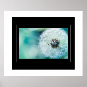 Poster-Dandelion Poster