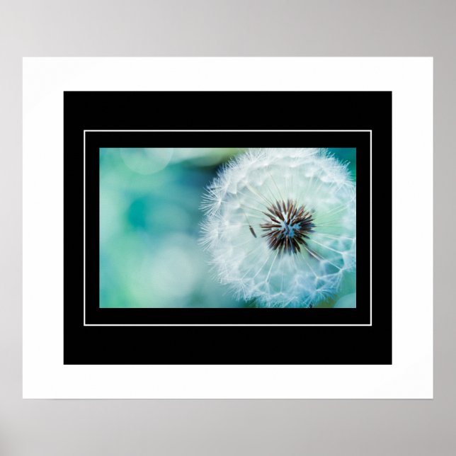 Poster-Dandelion Poster (Vorne)