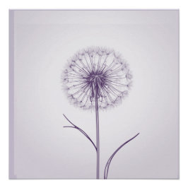 Poster Dandelion pourpre