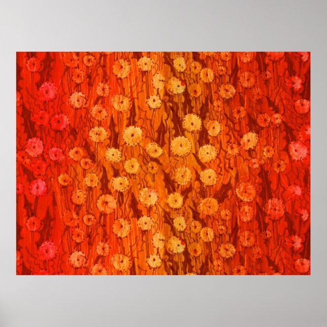 Poster Dandelions Field Fleurs été Rouge Orange Ombre P (Devant)