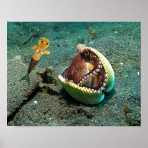 Poster Danni l'affiche de la sirène