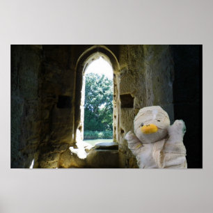 Poster Danny Duck la Momie