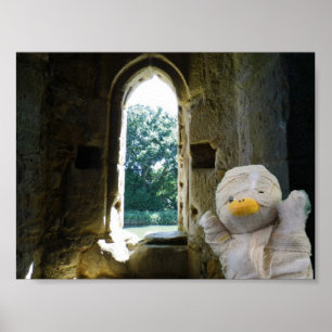 Poster Danny Duck la Momie