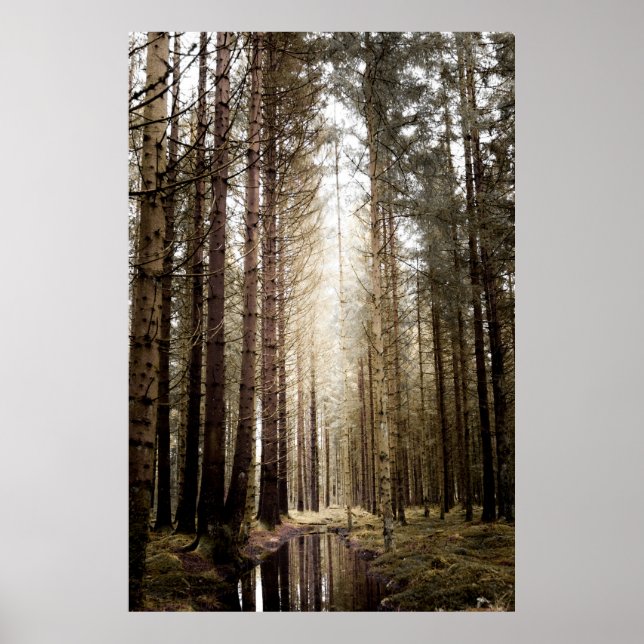 POSTER DANS LA FORÊT (Devant)