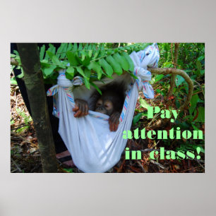 Poster Dans la forêt pour l'école d'Orangoutan