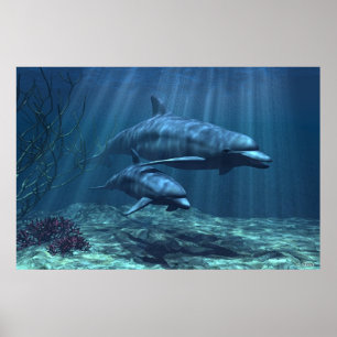 Poster Dans la lumière