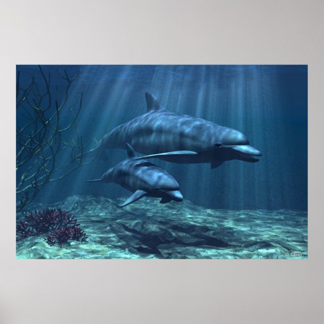 Poster Dans la lumière (Devant)