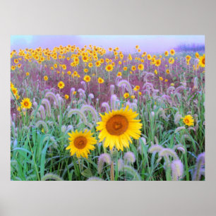 Poster Dans la matinée, imprimer