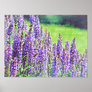 Poster dans la vallée de violet