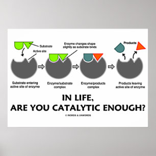 Poster Dans La Vie, Êtes-Vous Assez Catalytique ? Humour 