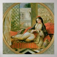 Dans le Harem