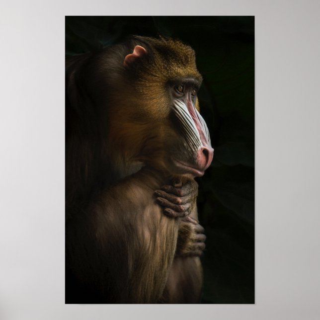 Poster Dans ses pensées (Devant)