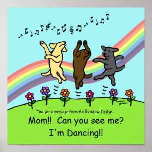 Poster Danse au Rainbow Bridge