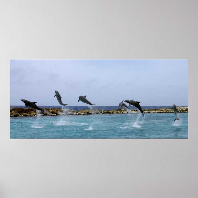 Poster Danse dauphin (Devant)