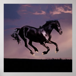 Poster Danse de cheval au coucher du soleil