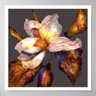 Poster Danse de fleur