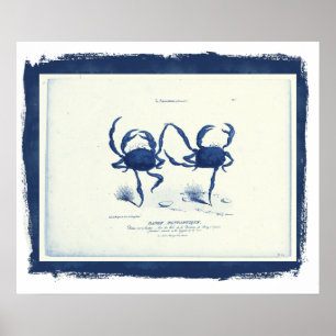 Poster Danse Fantastique, 1829 dans un cadre noir (remix