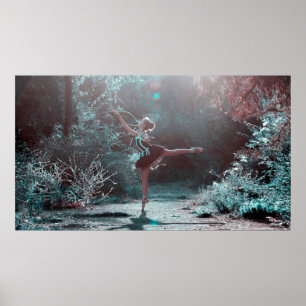 Poster Danseur classique mystique dans l'affiche givrée
