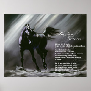 Poster Danseur d'ombre