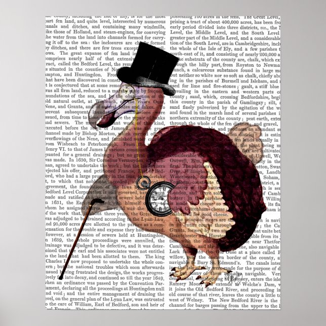 Poster Dapper Dodo (Devant)